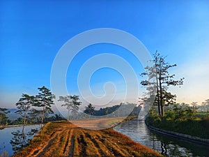 Dry dirt road between rivers and rice field with trees and beautyful views