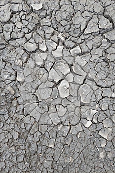 Dry dirt texture background.