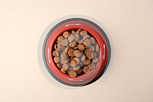 Dry dog food in feeding bowl on beige background, top view