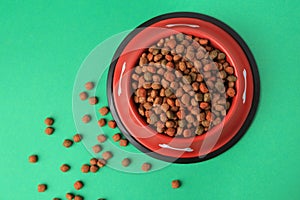 Dry dog food and feeding bowl on green background, flat lay