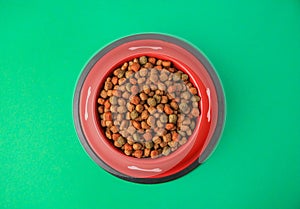Dry dog food in feeding bowl on green background, top view