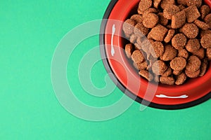 Dry dog food in feeding bowl on green background, top view. Space for text