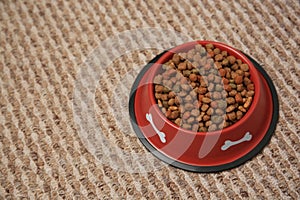 Dry dog food in feeding bowl on soft carpet. Space for text