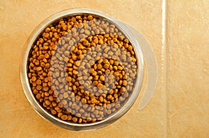 Dry Dog Food in a Stainless Steel Bowl