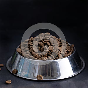 dry dog pet food in metal bowl on dark background