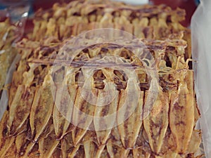 Dry dried squid on market at Rayong, Thailand