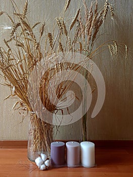 dry ears in transparent vases on the floor with candles and a cotton flower.