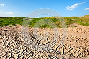 The dry earth