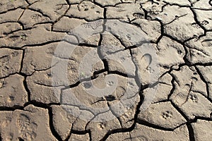 Dry earth