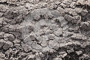 Dry earth