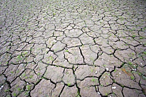 Dry earth