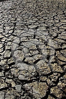 Dry earth