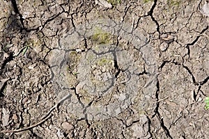 Dry earth