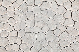 Dry earth background
