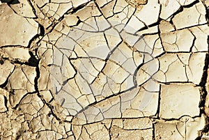 Dry earth background texture