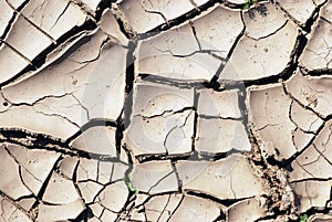 Dry earth background texture