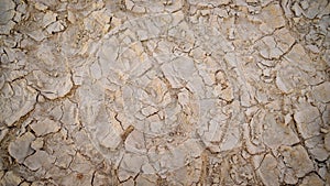 Dry earth background texture