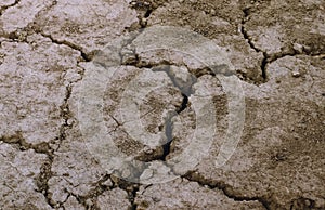 Dry earth in a field, cracks and fissures of the soil