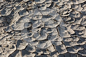 Dry earth texture Cracked ground Dry cracked earth texture