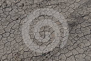 the dry earth was cracked by the sun