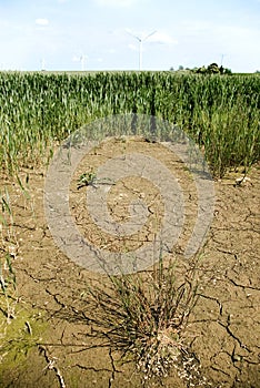 Dry earth, wind turbines.