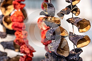 Dry eggplant and dry bell chili hanging in the market, local ingredient, closeup selective focus on blurred background