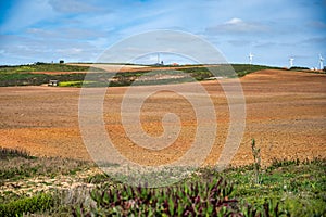 dry empty field in the country photo