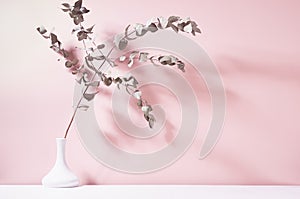 Dry eucalyptus branch in white ceramic vase in bright sunlight with shadow on pastel pink wall. Elegant home decor in simple calm.