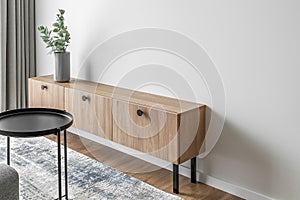 Dry eucalyptus branches in modern minimalist grey vase on wooden TV stand. Coffee table and carper details.