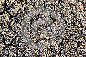 Dry fall ground with cracks