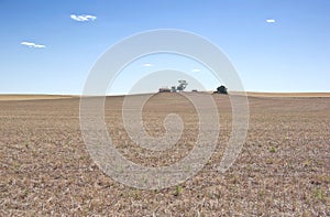 Dry farm during the drought