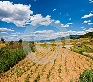 Dry farm field