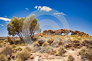 Dry field with trees and rocks in West MacDonnell national park Northern Territory, Australia.