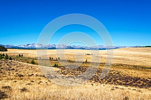 Dry Fields in Wyoming photo