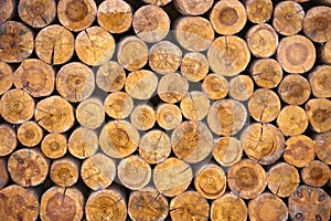 Dry firewood in a pile for furnace kindling