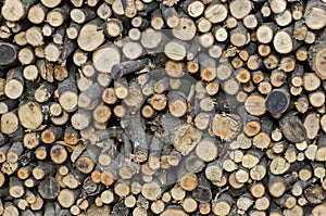 Dry firewood for winter in Lakatnik village
