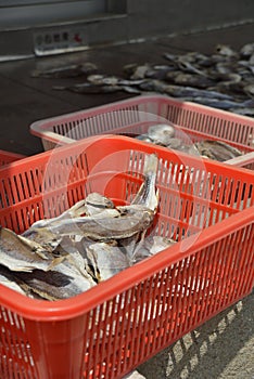 Dry fish in basket