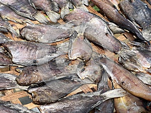 dry fish in the market
