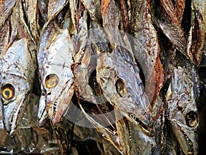 dry fish at market in Coxs Bazar, Bangladesh