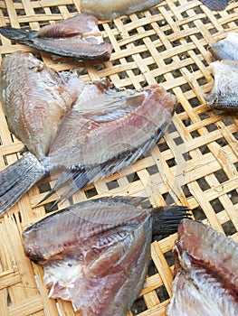 Dry fish