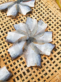 Dry fish raw food on bamboo floor