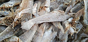 Dry fish stock photo Vijayawada