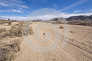 Dry Flood Plain in the Mojave Desert