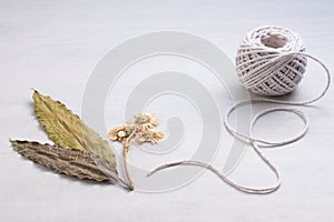 Dry flower and leaf