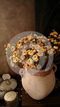 Dry flowers