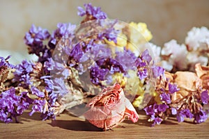 dry flowers in the sun. dry rosie and other flowers