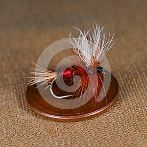 Dry fly for trout flyfishing