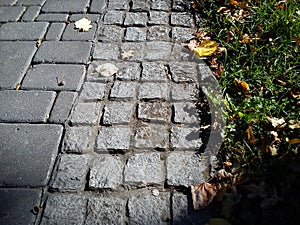 Dry foliage and stones of an old cobblestone road. Yellow autumn in a city park. But the green grass is still here