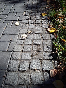 Dry foliage and stones of an old cobblestone road. Yellow autumn in a city park. But the green grass is still here