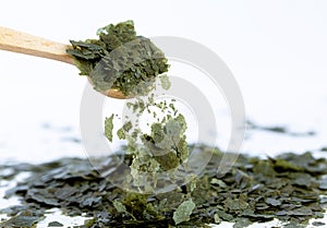 Dry food for aquarium fish falls and flies from a wooden spoon.handful of dry food